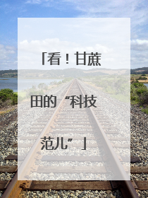 看！甘蔗田的“科技范儿”